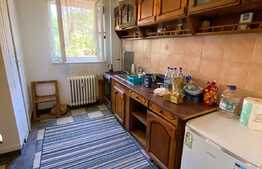 Apartament 2 camere decomandate, 62 mp, locație deosebită, zona Grădinii Botanice