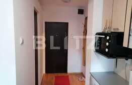 Apartament 1 camera, 40 mp, decomandat, Manastur