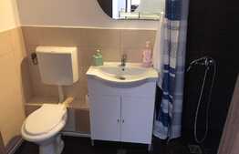 Apartament 1 camera, 40 mp, decomandat, Manastur