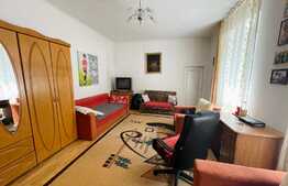 Apartament de 2 camere, tavan inalt, 60mp, garaj si curte, zona Traian Mosoiu