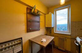 Apartament 2 camere, 50 mp, zona străzii Constantin Brâncuși 