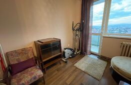Apartament 2 camere, 50 mp, zona străzii Constantin Brâncuși 