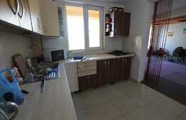 Apartament de 2 camere, 180 mp, zona Someseni