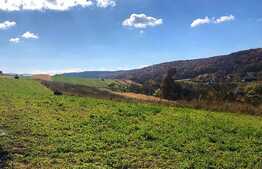 Teren intravilan, 1220 mp, in Popesti