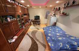 Exclusivitate! COMISION 0%! Apartament 3 camere, decomandat, 2 bai, 70mp, zona Dunarii