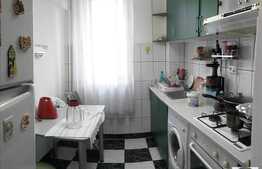 Apartament 2 camere, 44 mp, etaj intermediar, zona Aleea Bizusa