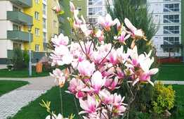 Apartament 2 camere, 54 mp, panorama superba, zona Coresi , Top City 