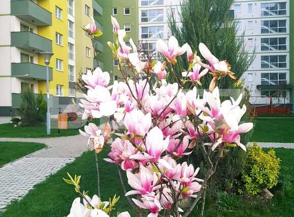 Apartament de vânzare 2 camere Tractorul - 89558AV | BLITZ Brașov | Poza12