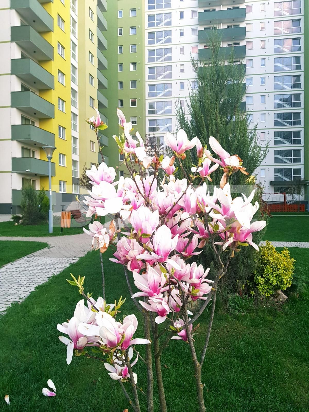 Apartament de vânzare 2 camere Tractorul - 89558AV | BLITZ Brașov | Poza12