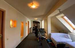 Casa individuala, 220 mp, 6 camere, in Piata Muzeului