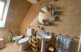 Casa individuala, 220 mp, 6 camere, in Piata Muzeului