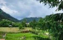 Casa 250 mp, 4 camere, zona Bran