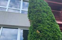 Casa de 5 camere, 133mp, 3 niveluri, zona Muzeul Apei