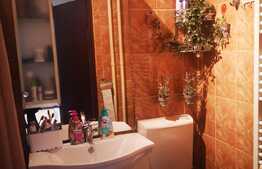 Garsonieră decomandată, 30 mp, etaj intermediar, zona Astra