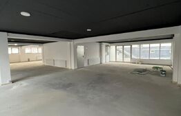 Spatiu comercial cu potential, 100 mp, parcare, zona Stejarului