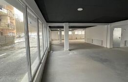 Spatiu comercial cu potential, 100 mp, parcare, zona Stejarului