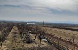 Casa 5 camere, 300 mp, zona Feldioara