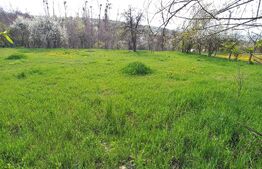 Teren intravilan 700 mp, pentru constructie casa, zona Feleac