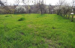 Teren intravilan 700 mp, pentru constructie casa, zona Feleac