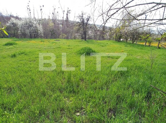 Teren de vânzare Feleacu - 89762TV | BLITZ Cluj-Napoca | Poza2