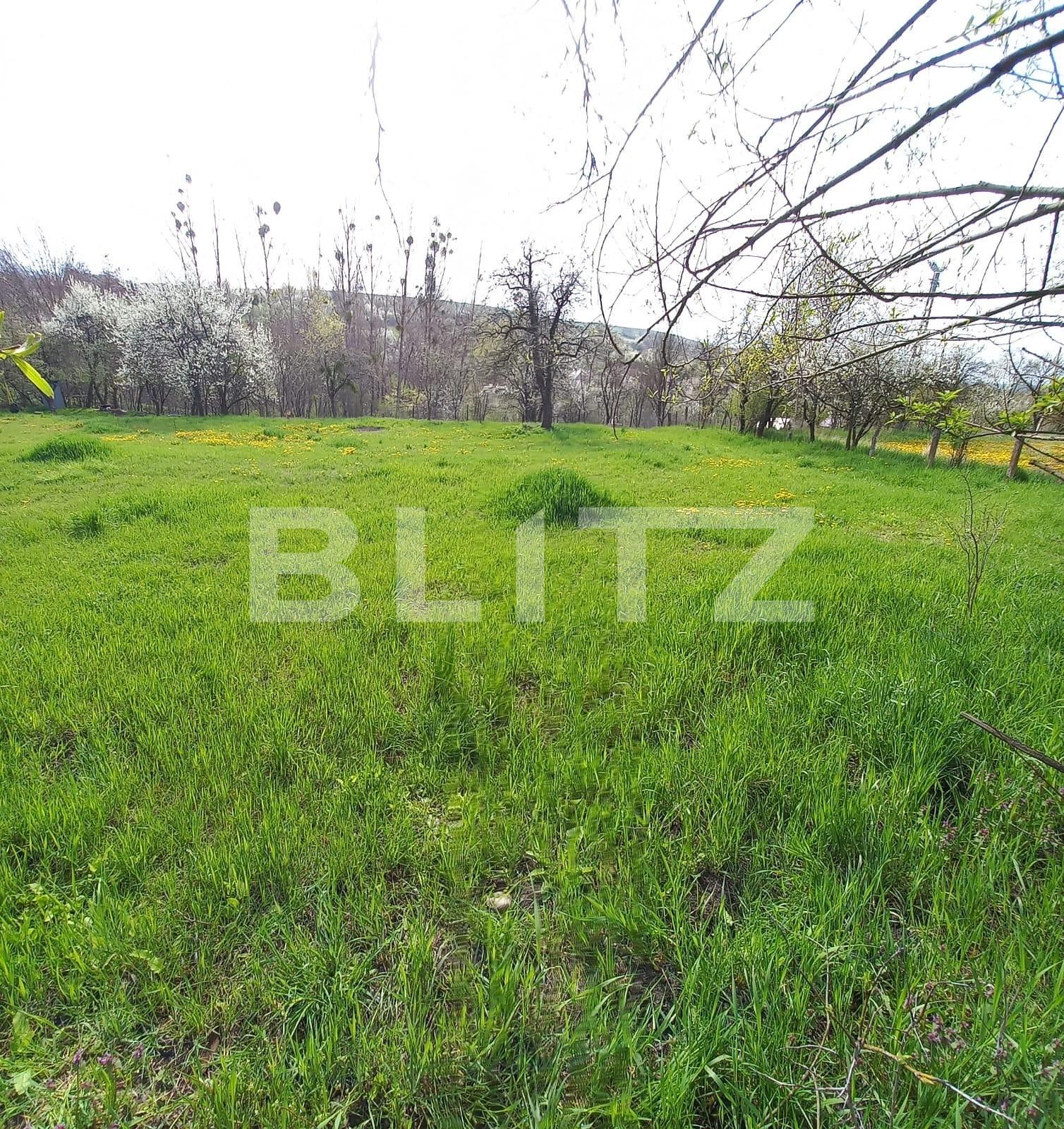 Teren de vânzare Feleacu - 89762TV | BLITZ Cluj-Napoca | Poza2