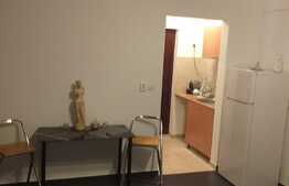 Garsoniera de 22 mp, zona Astra