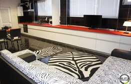 1 camera, 45 mp, imobil nou, mobilat lux, zona Iulius Mall