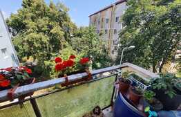 Apartament 3 camere, 44 mp, etaj intermediar, Gheorgheni