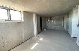 Casa PREMIUM 230 mp utili, teren 780 mp, drum asflatat in Dezmir