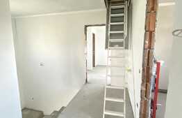 Casa PREMIUM 230 mp utili, teren 780 mp, drum asflatat in Dezmir