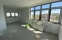 Casa PREMIUM 230 mp utili, teren 780 mp, drum asflatat in Dezmir