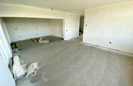 Casa PREMIUM 230 mp utili, teren 780 mp, drum asflatat in Dezmir