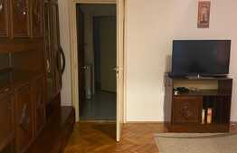 Apartament 2 camere, 50 mp, pet friendly, Zona Iulius Mall