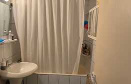 Apartament 2 camere, 50 mp, pet friendly, Zona Iulius Mall