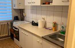 Apartament 2 camere, 50 mp, pet friendly, Zona Iulius Mall