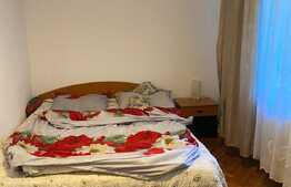 Apartament 2 camere, 50 mp, pet friendly, Zona Iulius Mall