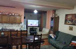 Oportunitate! Casa 200 mp, 600 mp teren, Cipariu