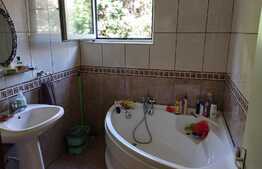 Oportunitate! Casa 200 mp, 600 mp teren, Cipariu