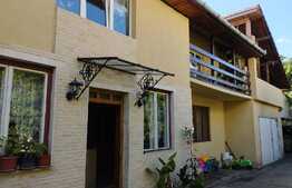 Oportunitate! Casa 200 mp, 600 mp teren, Cipariu