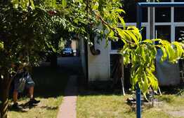 Oportunitate! Casa 200 mp, 600 mp teren, Cipariu