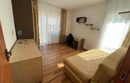 Apartament 3 camere, 55 mp, petfriendly, parcare, zona Muzeul Apei