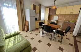 Apartament 3 camere, 55 mp, petfriendly, parcare, zona Muzeul Apei