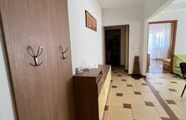 Apartament 3 camere, 55 mp, petfriendly, parcare, zona Muzeul Apei