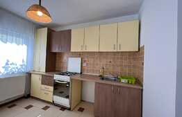 Apartament 3 camere, 55 mp, petfriendly, parcare, zona Muzeul Apei