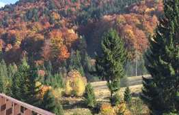 Casa 4 camere, 150 mp, zona Rasnov