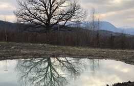 Casa 4 camere, 250 mp, zona Rasnov