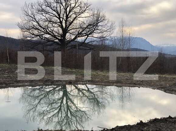 Casa de vânzare 4 camere Rasnov - 89976CV | BLITZ Brașov | Poza7