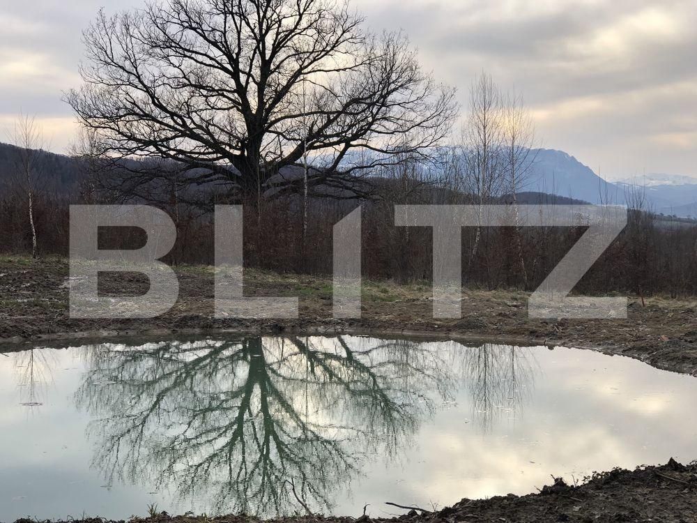 Casa de vânzare 4 camere Rasnov - 89976CV | BLITZ Brașov | Poza7