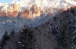 Casa 6 camere, 270 mp, zona Zarnesti 