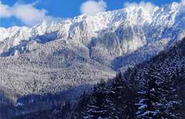 Casa 6 camere, 270 mp, zona Zarnesti 